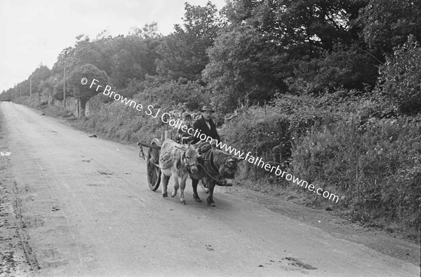 ON THE ROAD NEAR SCARIFF  DONKEY TEAM